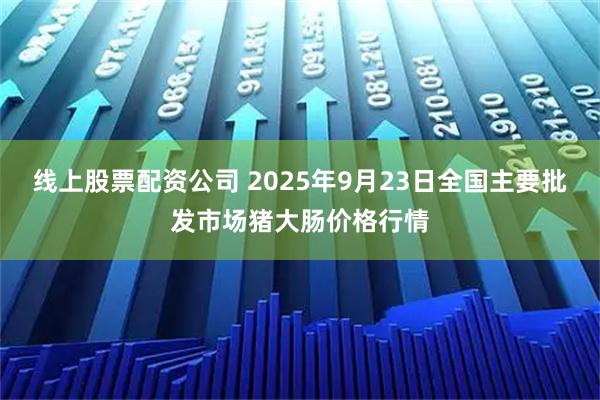 线上股票配资公司 2025年9月23日全国主要批发市场猪大肠价格行情